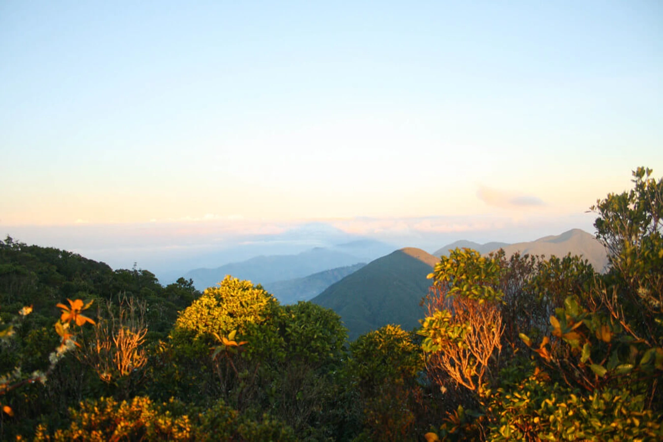 Blue Mountain Peak, Jamaïque