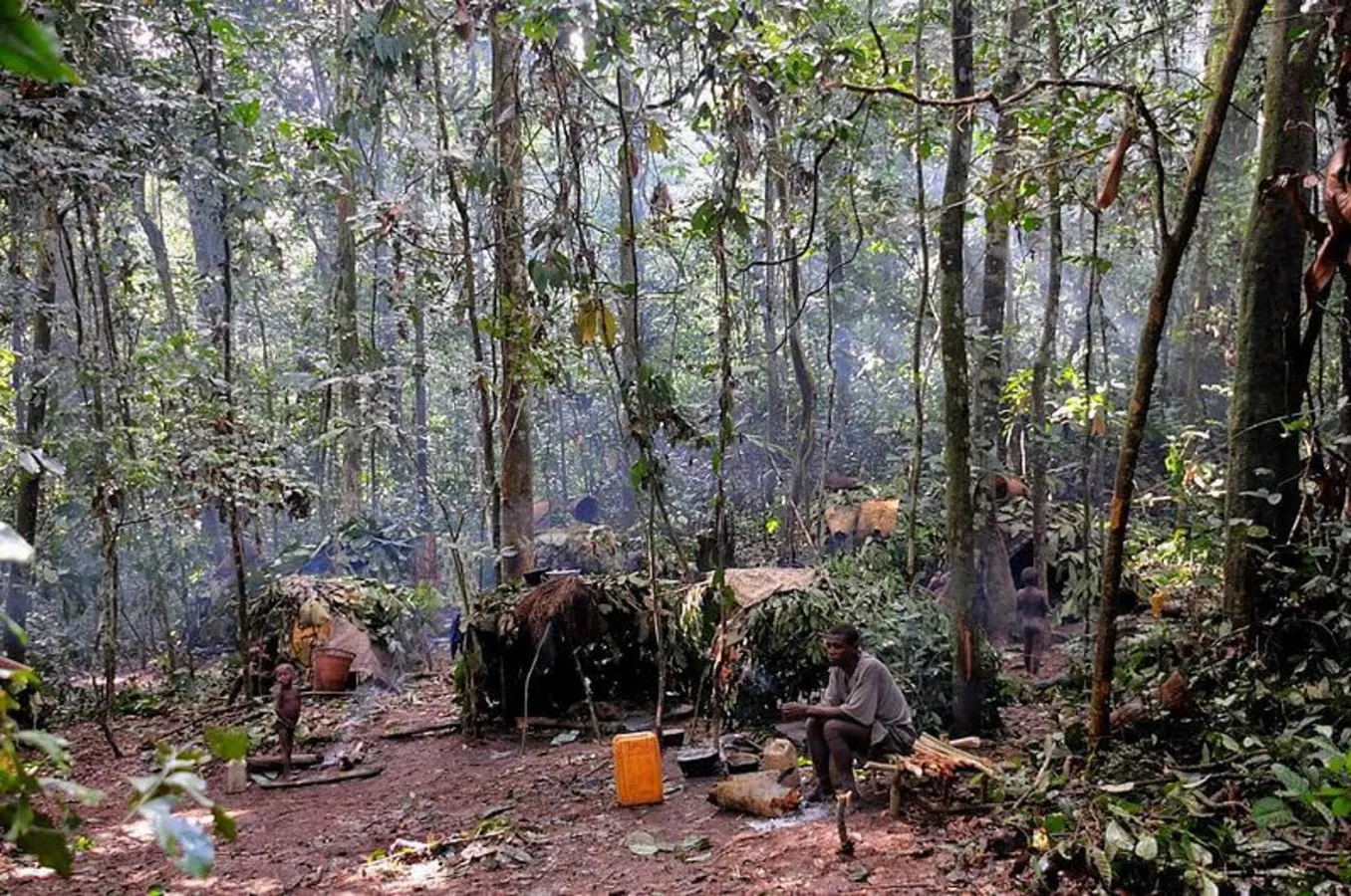 Réserve spéciale de Dzanga-Sangha, République centrafricaine