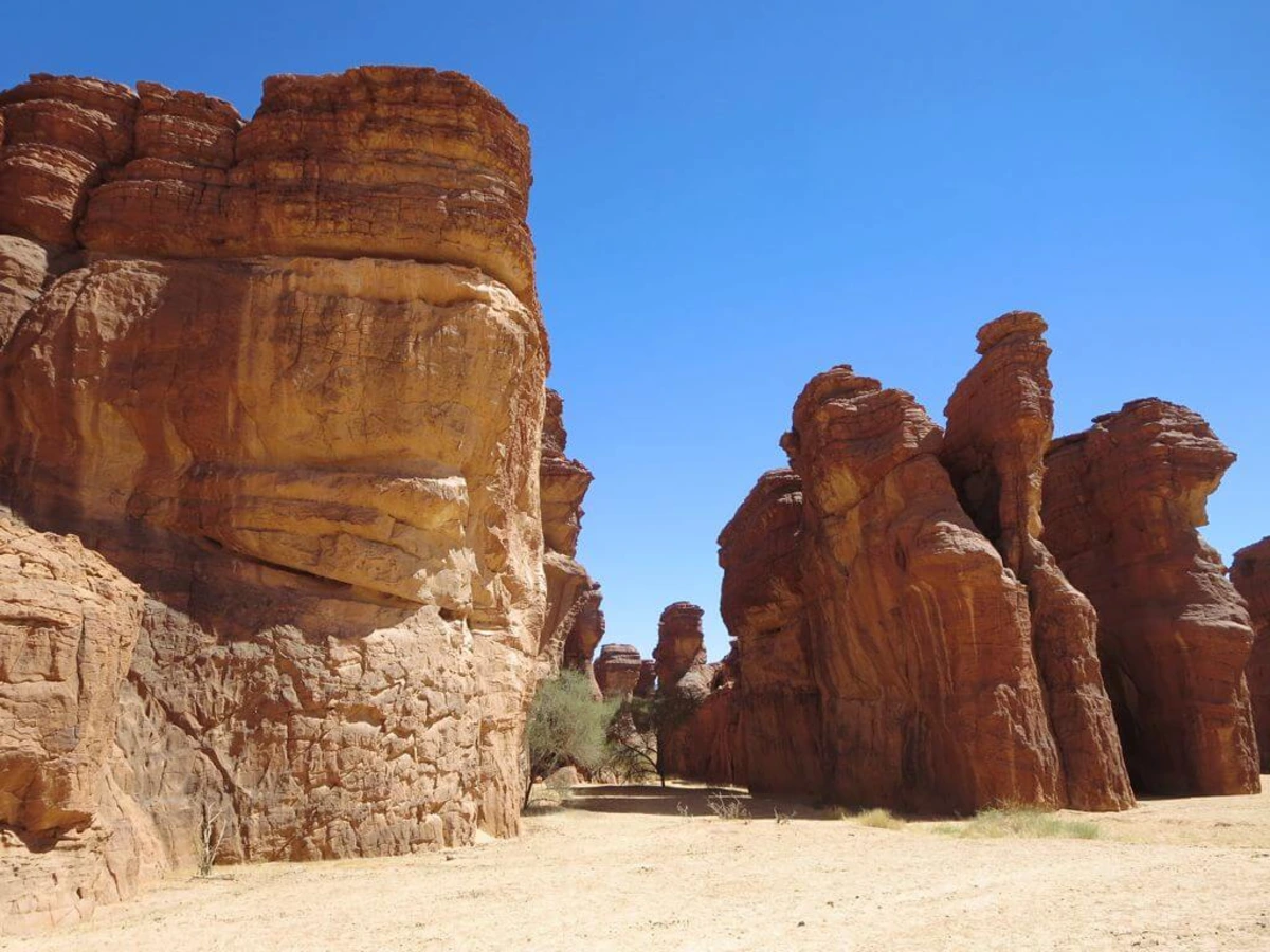 Labyrinthe d'Oyo, Tchad