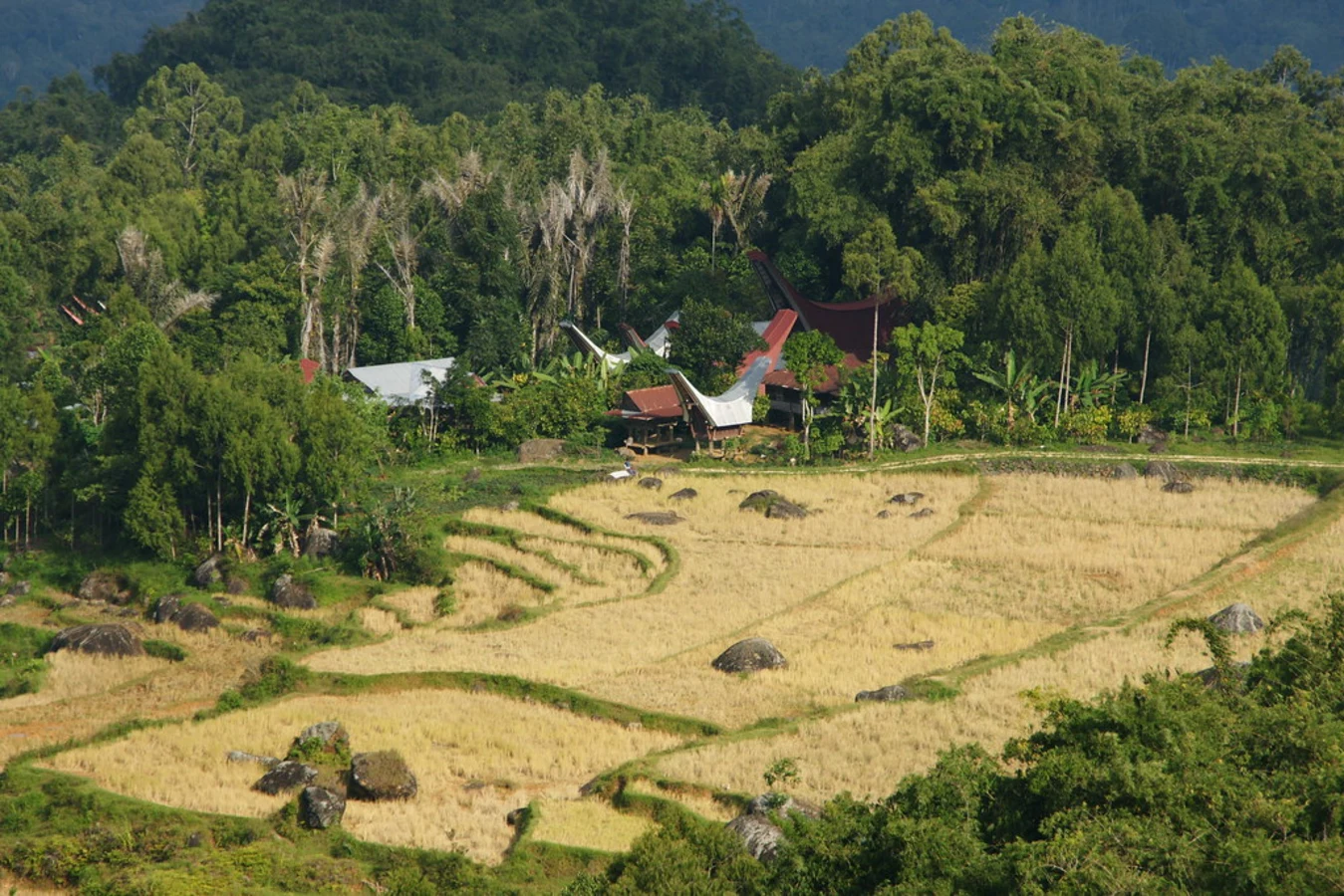 Pays Toraja, Indonésie