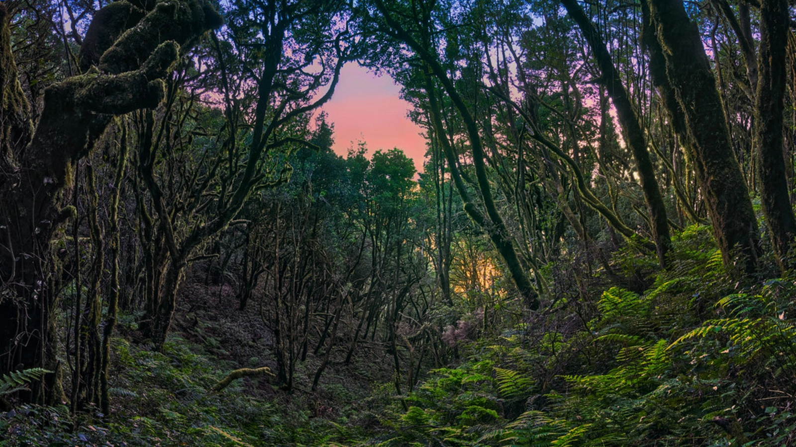 Raso de la Bruma, Espagne, Canaries
