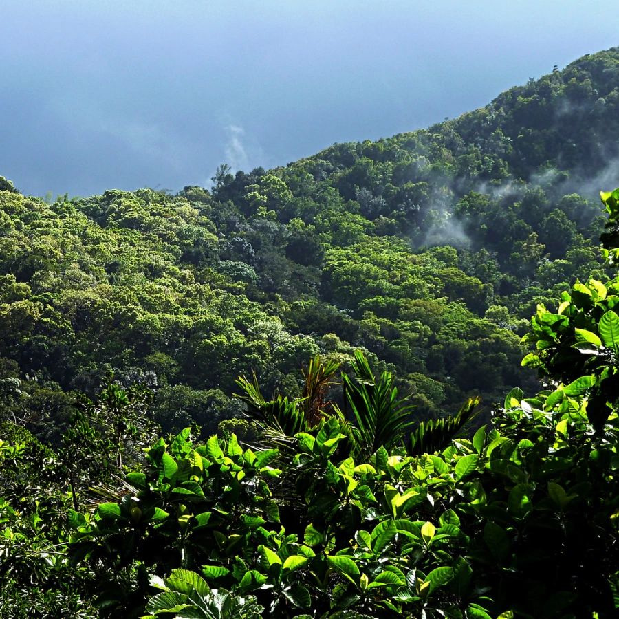 Parc national de la Guadeloupe, Guadeloupe