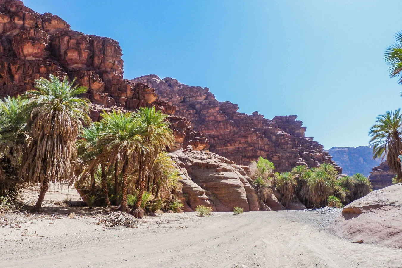 Wadi Qaraqir, Arabie saoudite