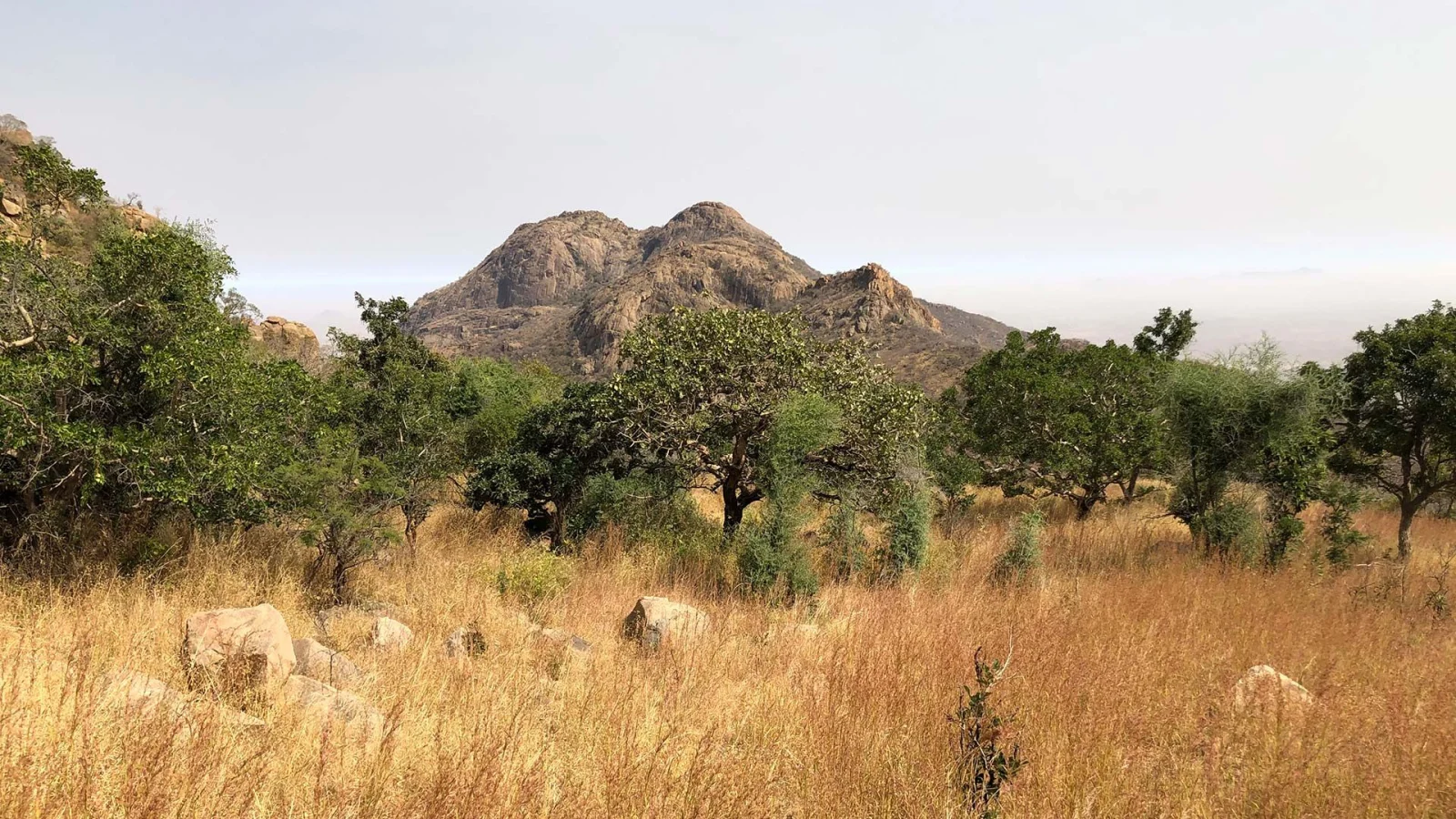 Massif de Guera, Tchad