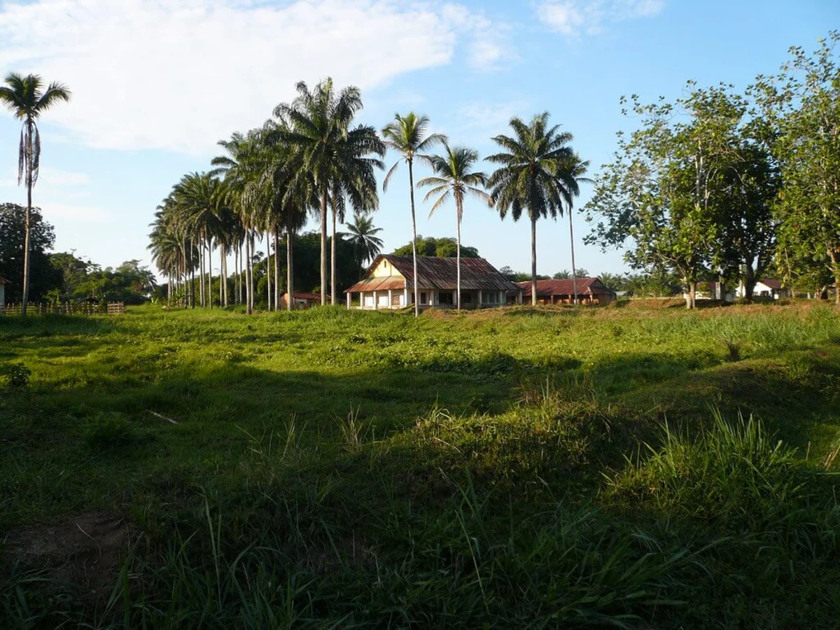 Parc national de la Salonga, République démocratique du Congo