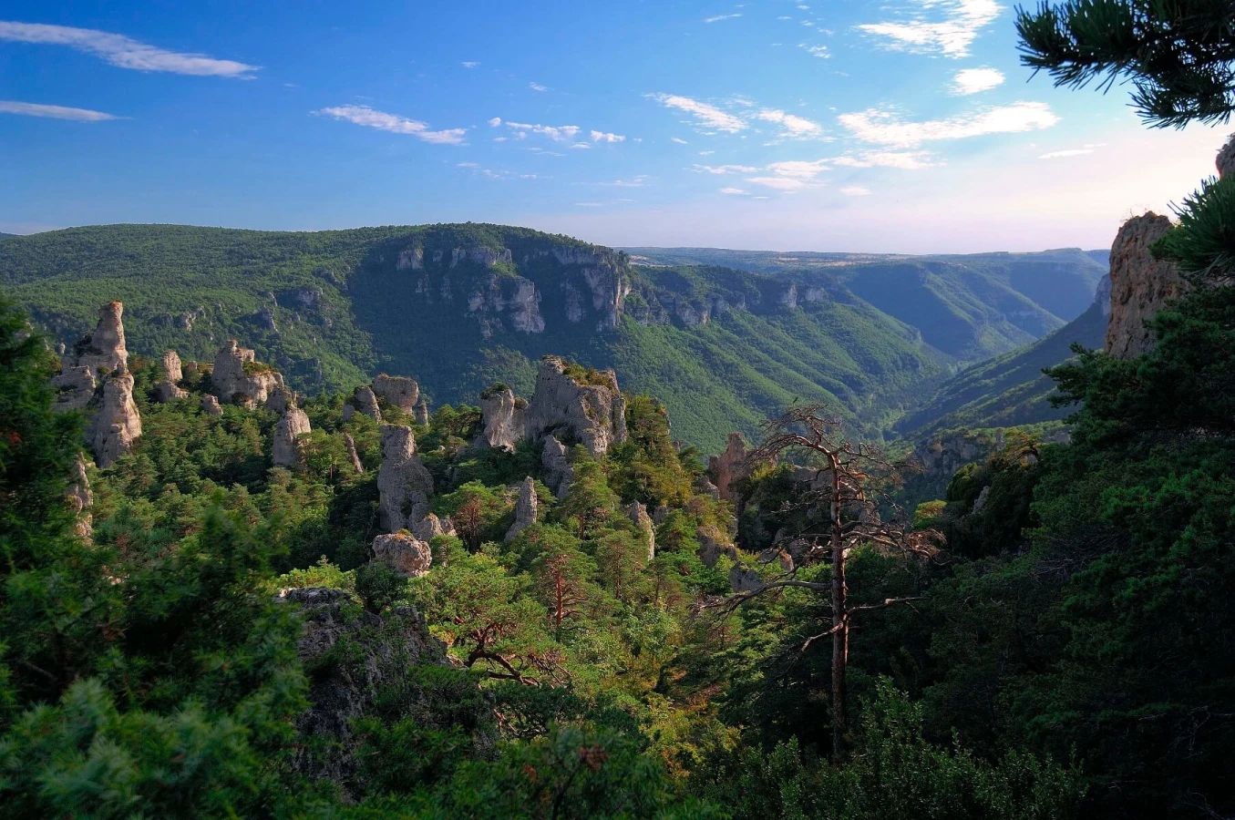 Parc naturel régional des Grands Causses, France