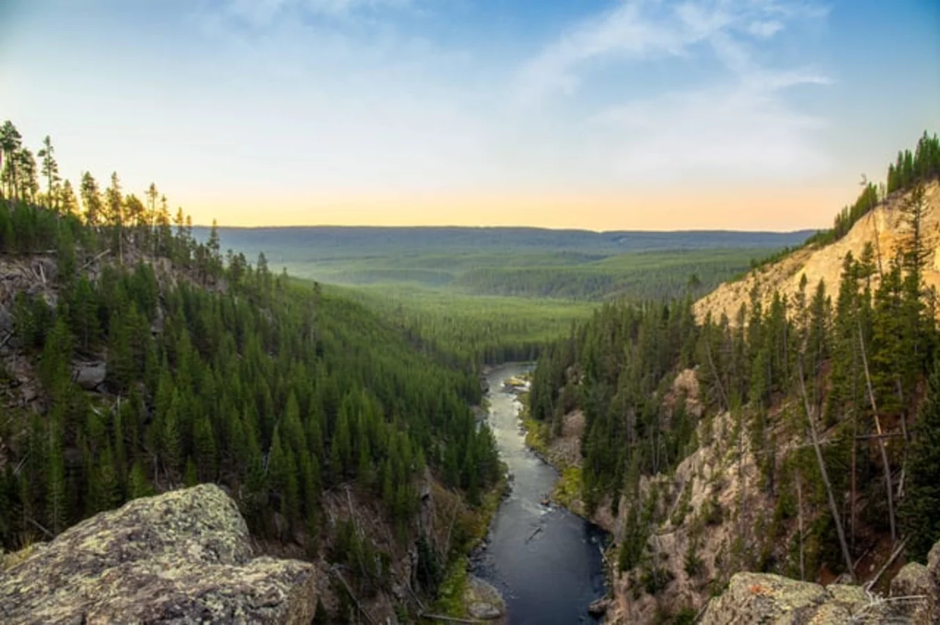 Gibbon River, États-Unis