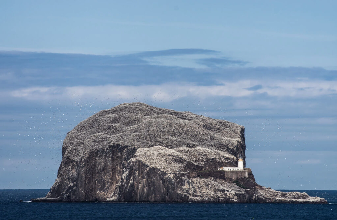 Bass Rock, Écosse