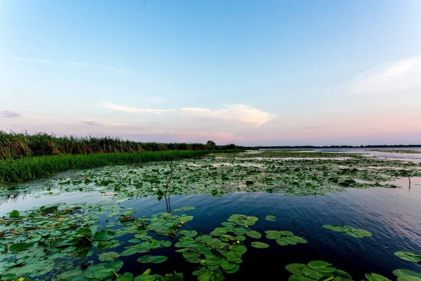 Delta du Danube, Roumanie, Ukraine