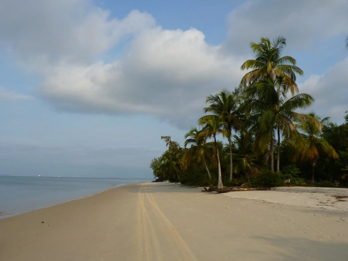 Parc national de Pongara, Gabon