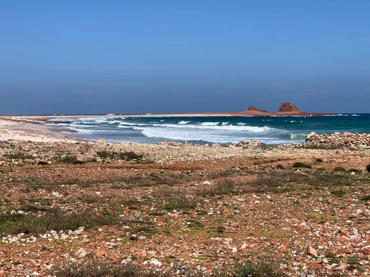 Réserve marine de Dihamri, Yémen, Socotra