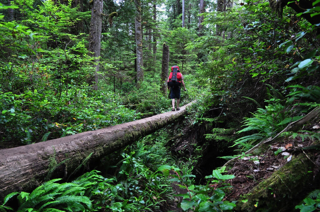 Sentier de la Côte-Ouest, Canada