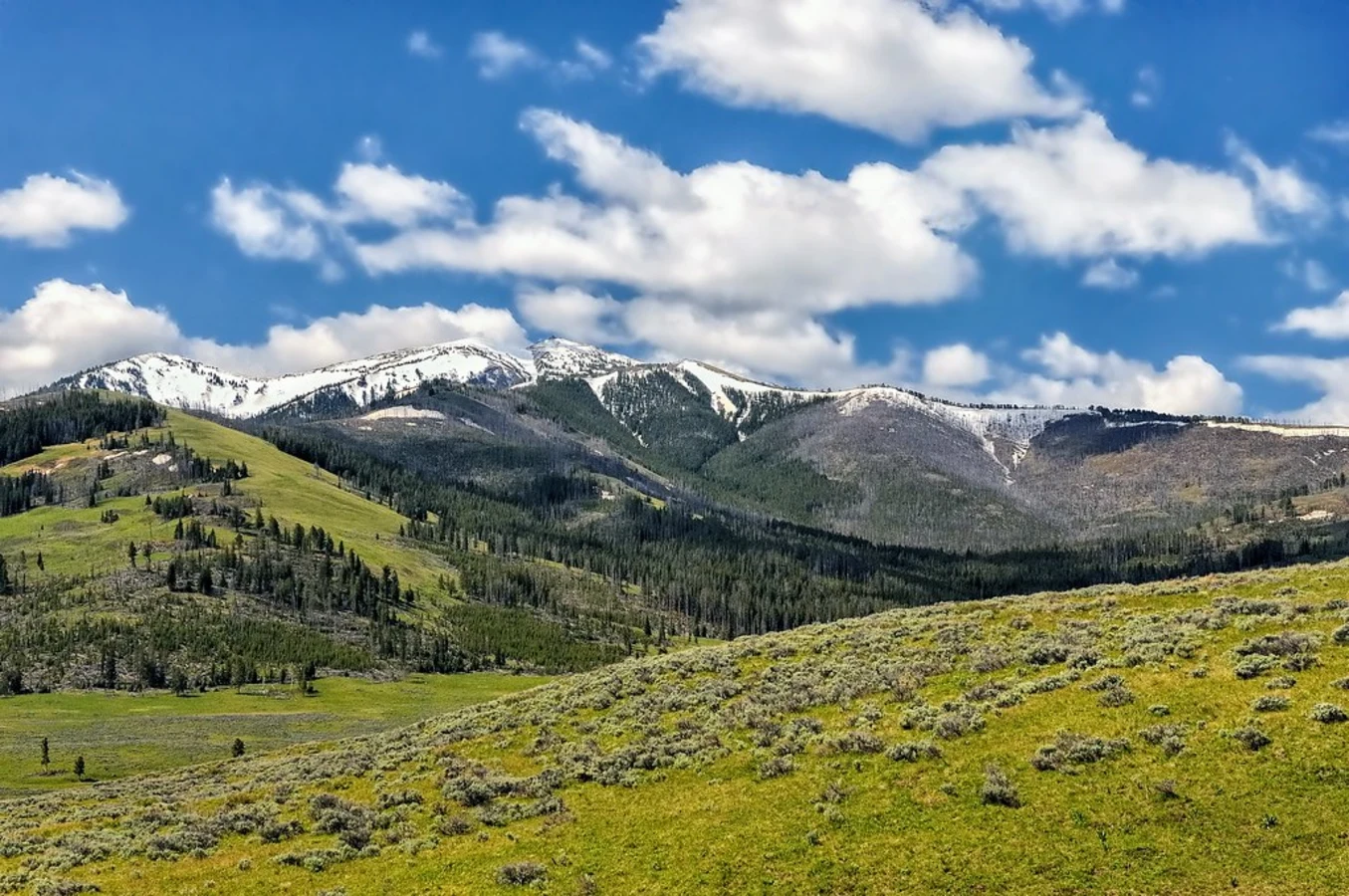 Mont Washburn, États-Unis