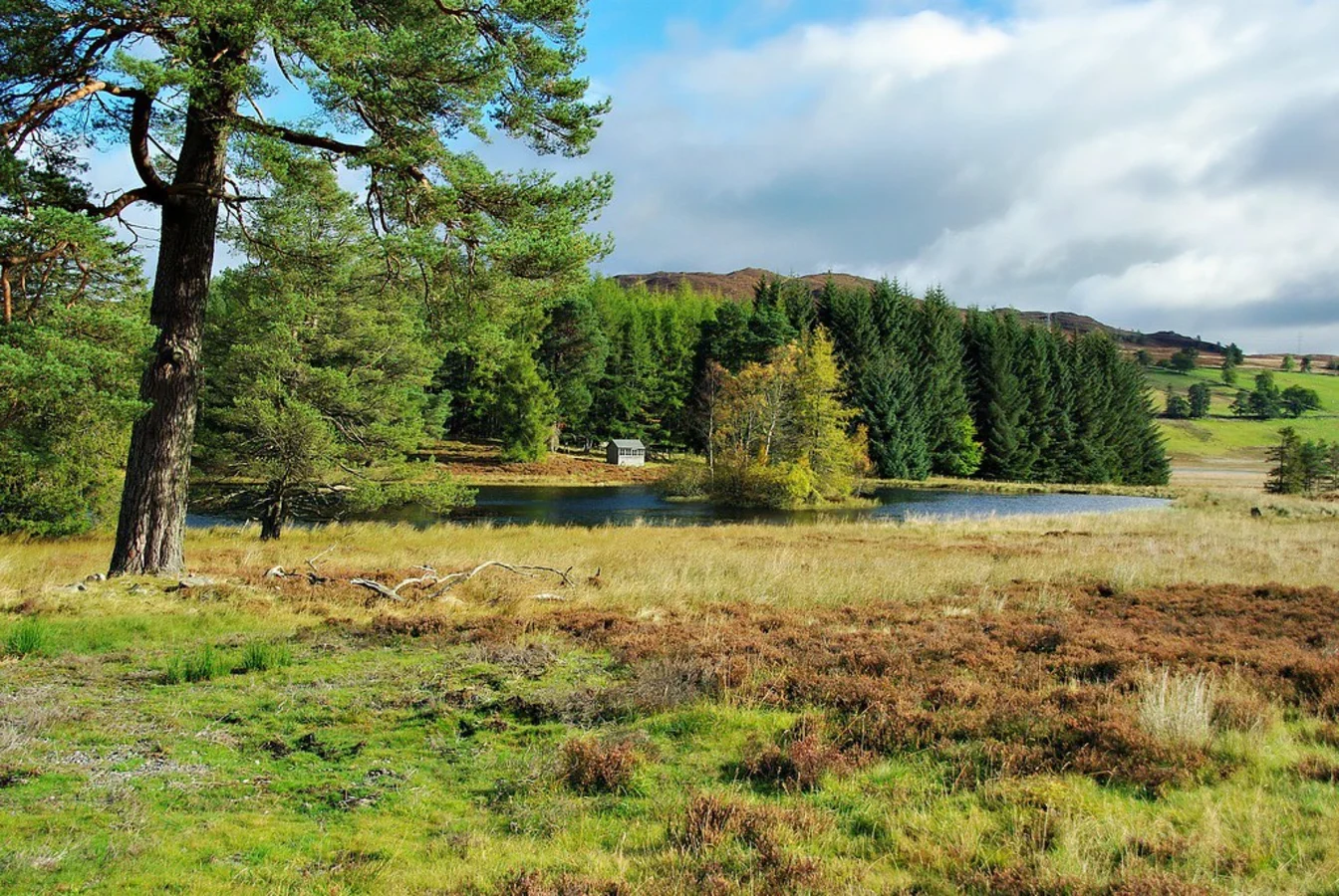 Loch of Butterstone, Écosse