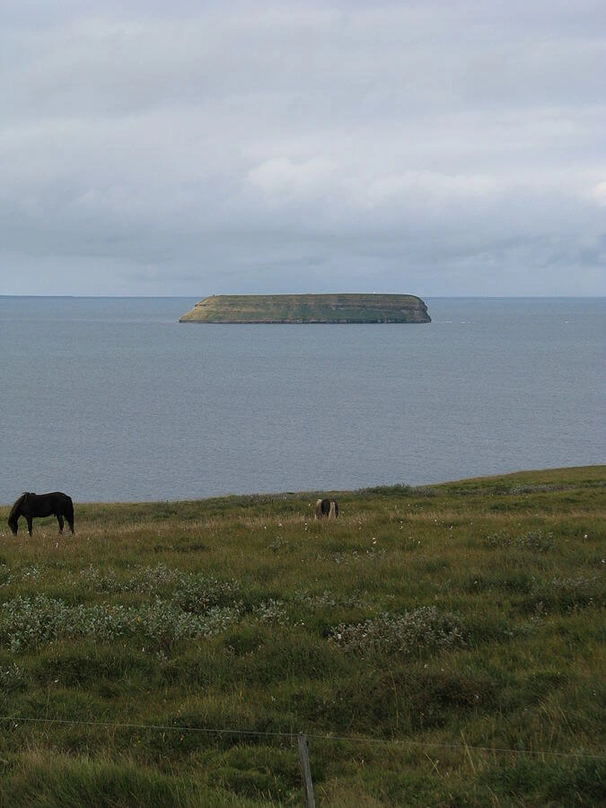 Lundey, Islande