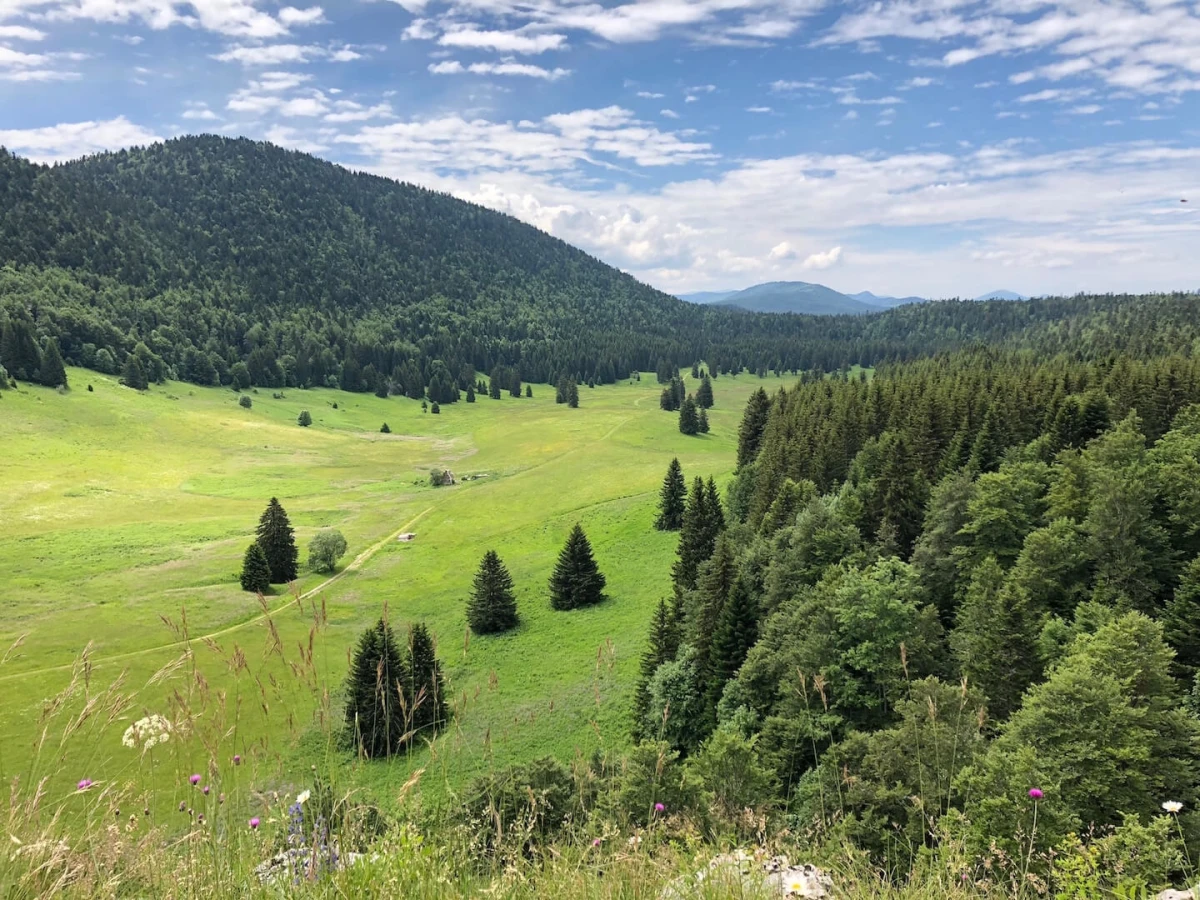Plaine d'Herbouilly, France
