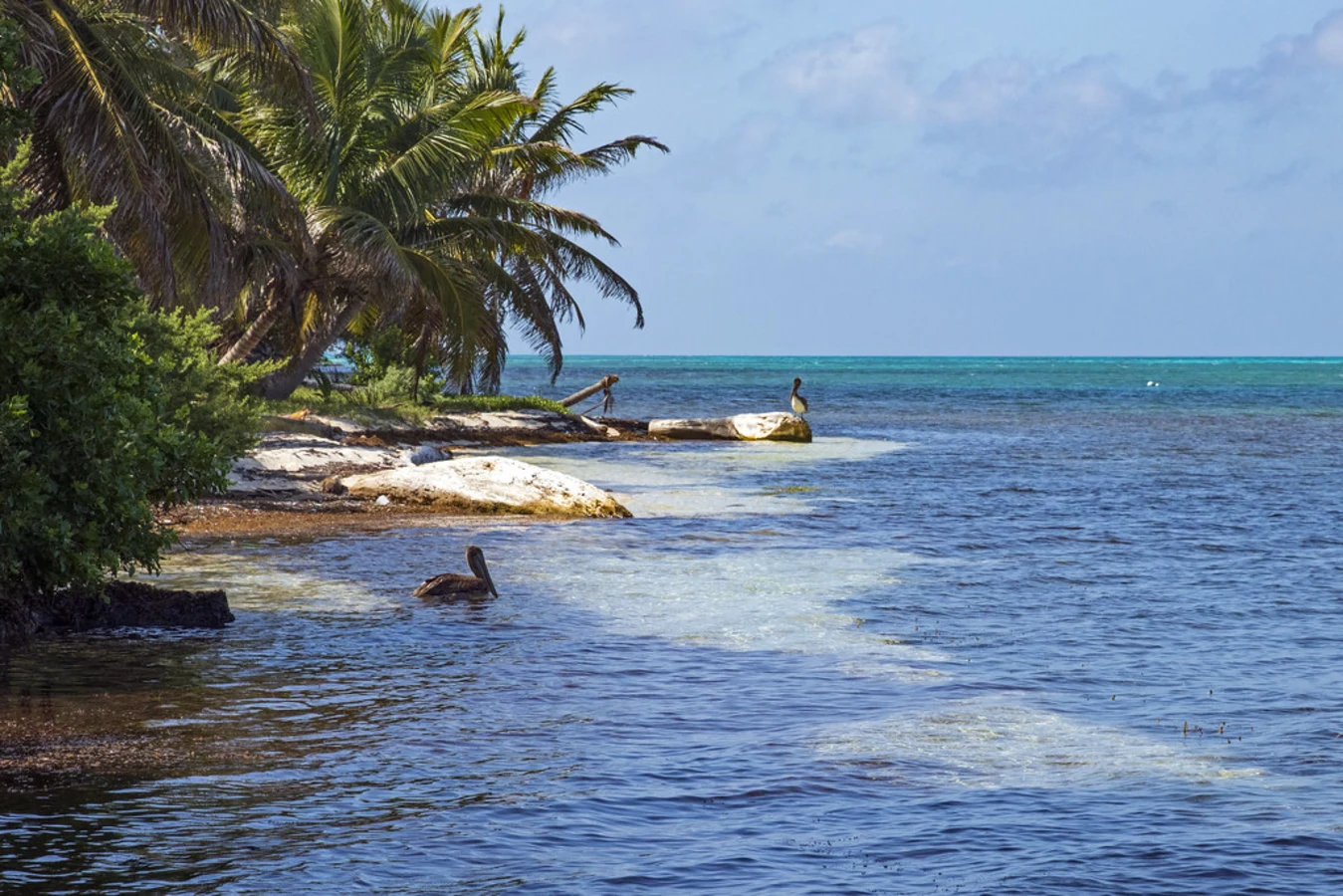 Caye Half Moon, Belize