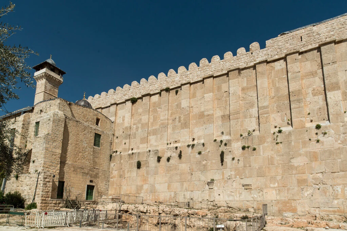 Tombeau des Patriarches, Israël, Palestine