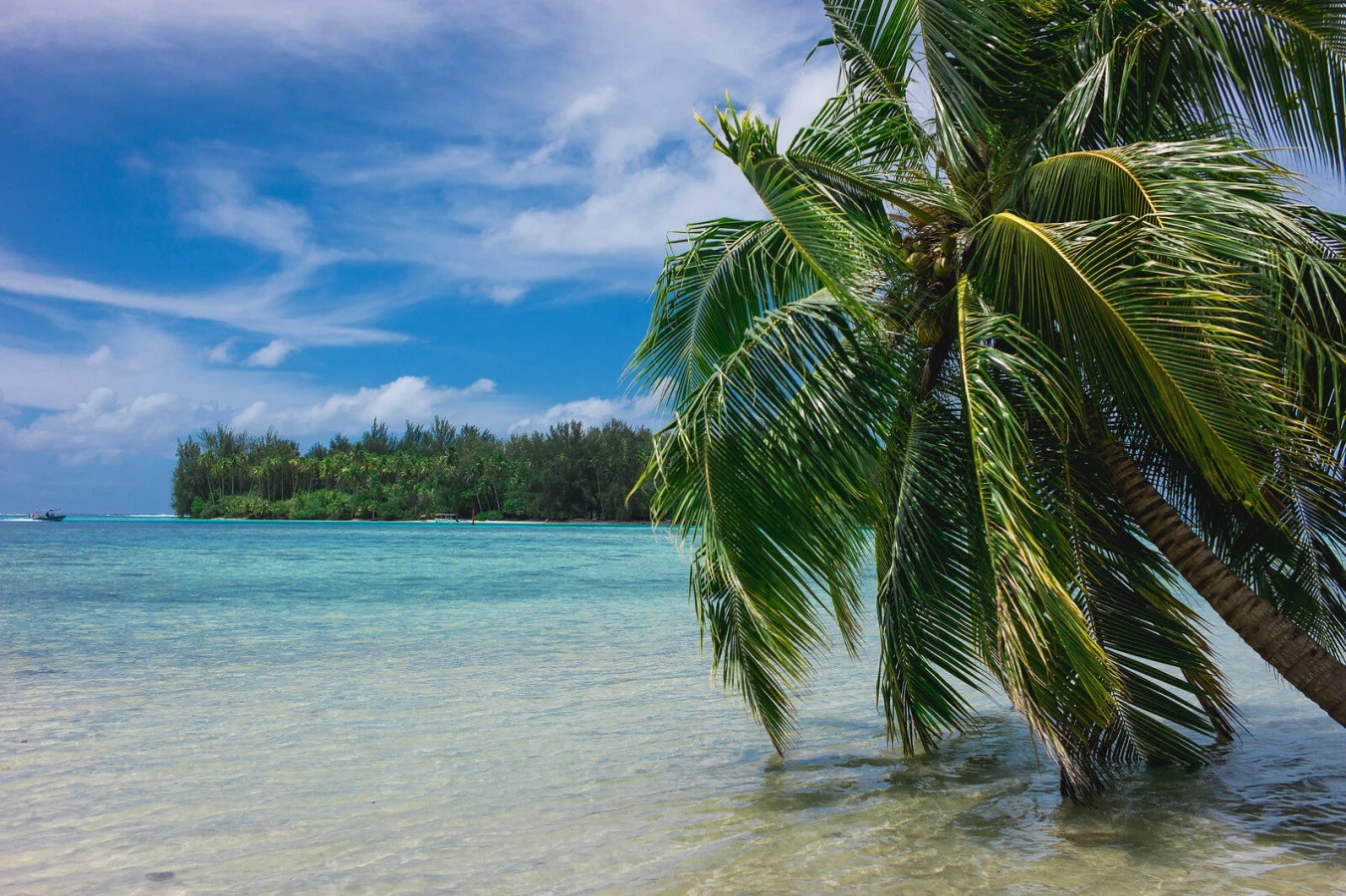 Moorea, Polynésie française