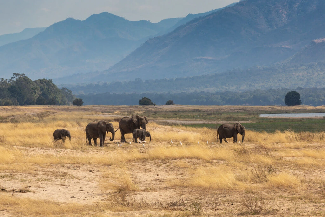Parc national de Mana Pools, Zimbabwe