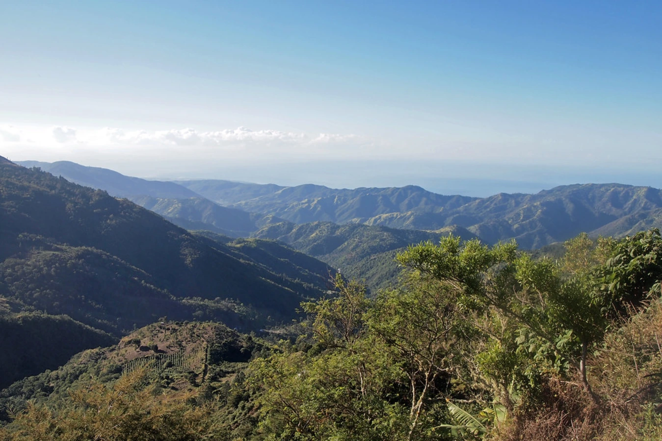 Blue Mountain Peak, Jamaïque