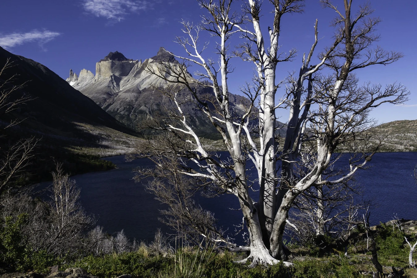 Lac Skottsberg, Chili