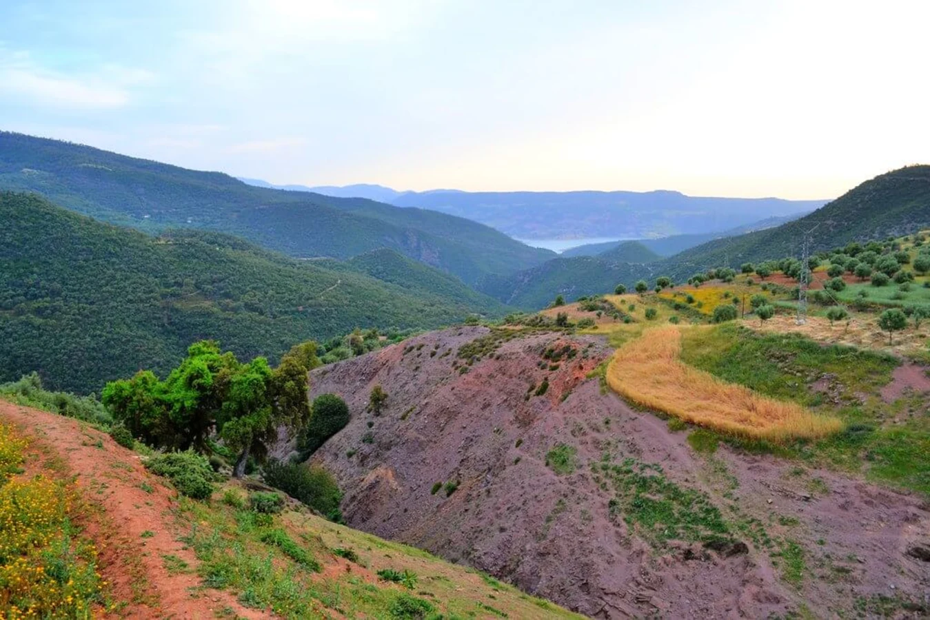 Parc national de Tazekka, Maroc
