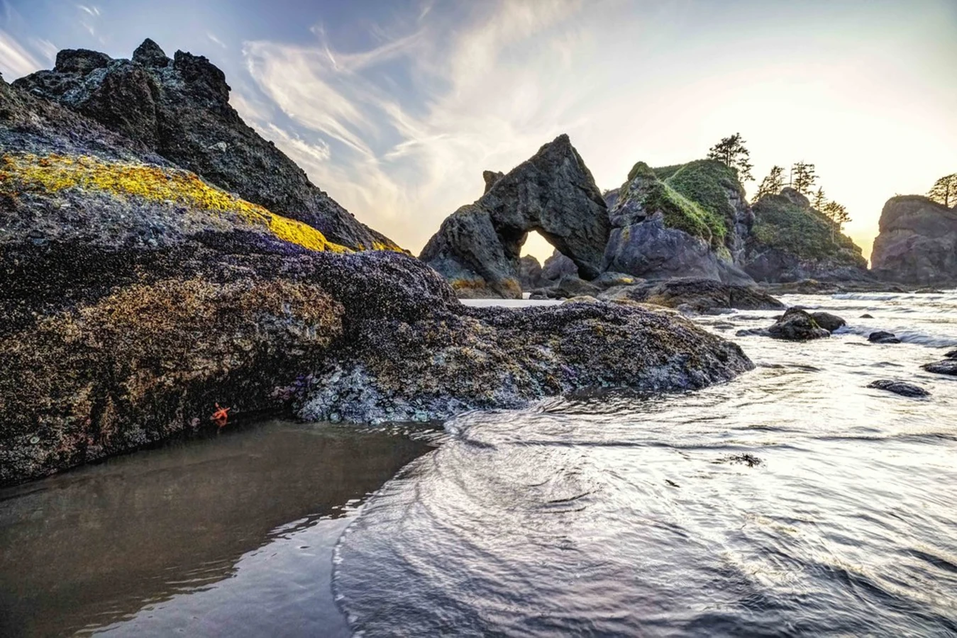 Shi-Shi Beach, États-Unis