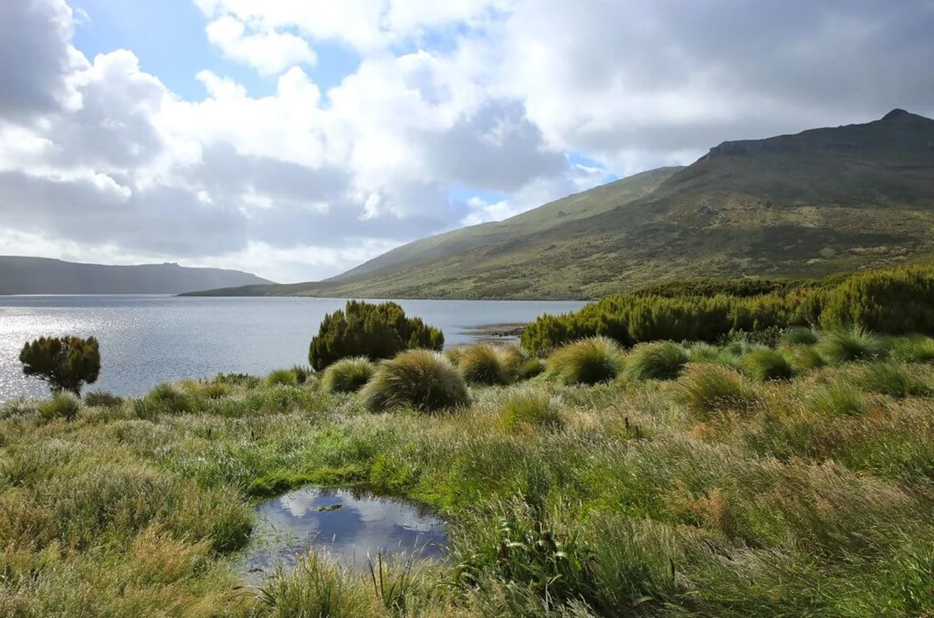 Îles sub-antarctiques de Nouvelle-Zélande, Nouvelle-Zélande