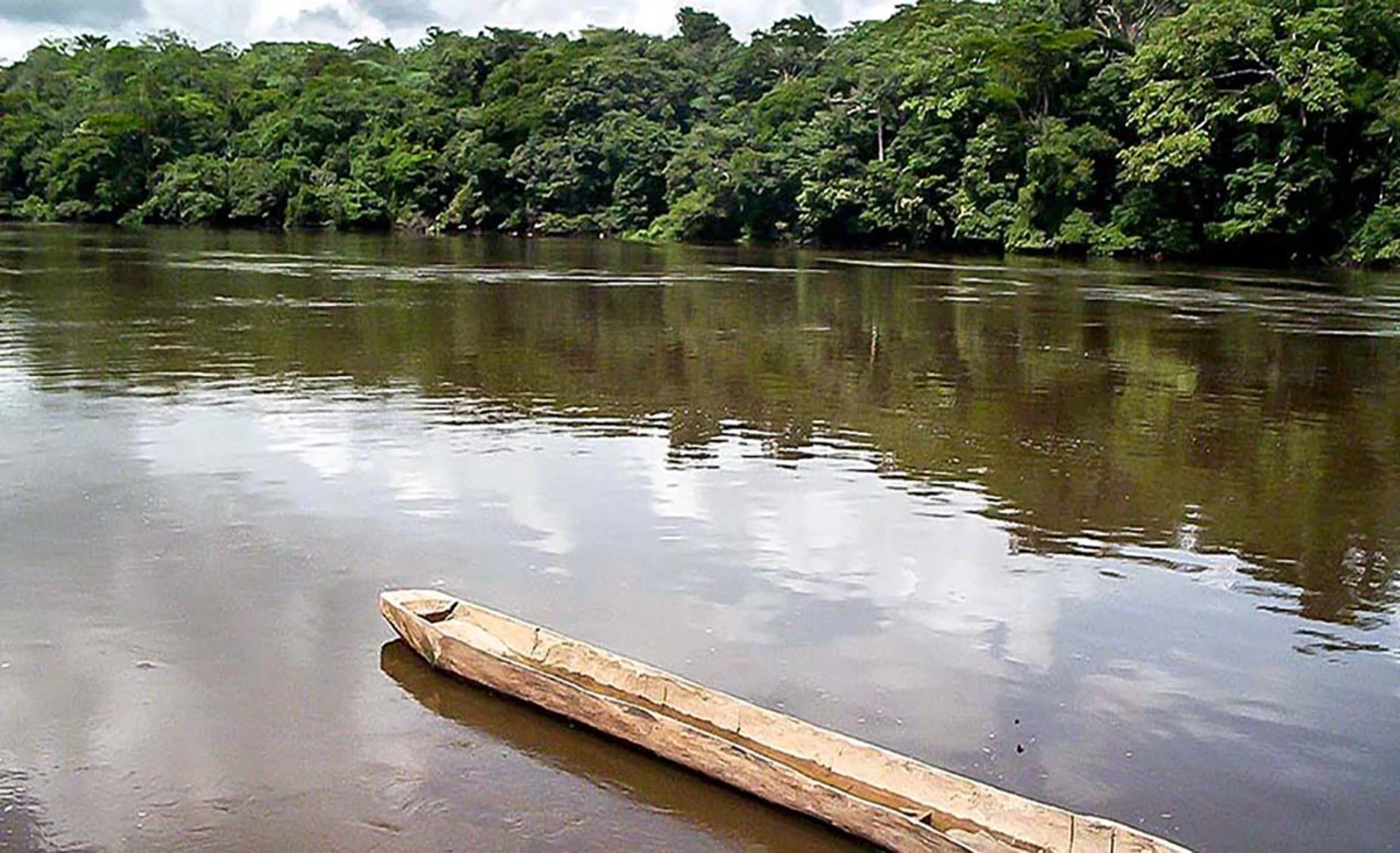 Parc national de Nki, Cameroun