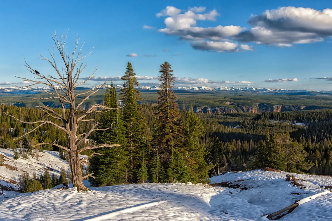 Mont Washburn, États-Unis