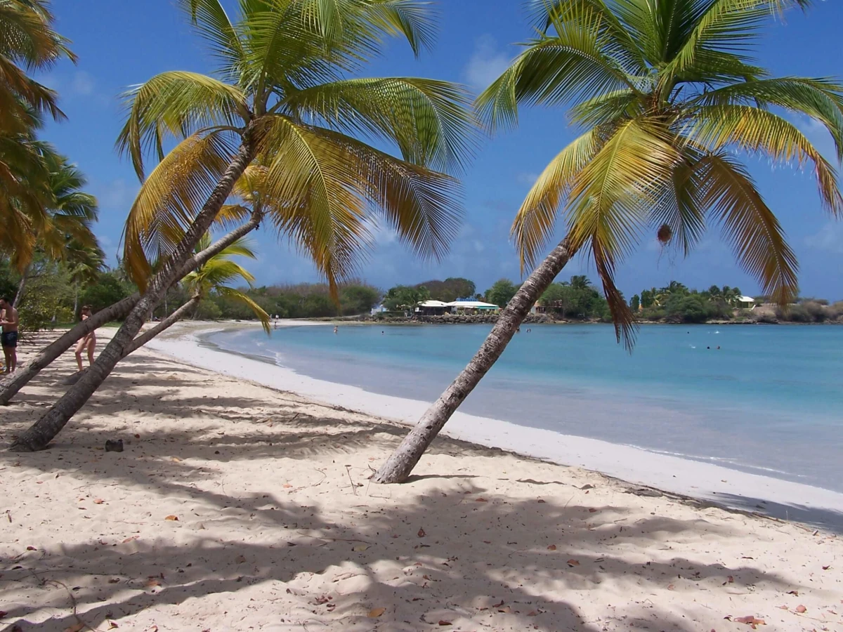 Plage des Salines, Martinique