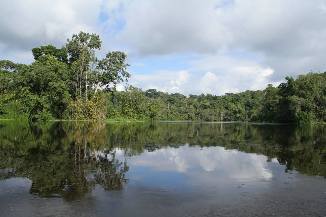 Parc national d'Ivindo, Gabon