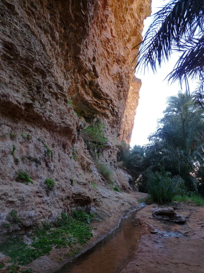 Tergit, Mauritanie