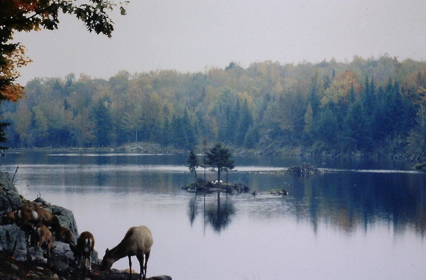 Parc Oméga, Canada