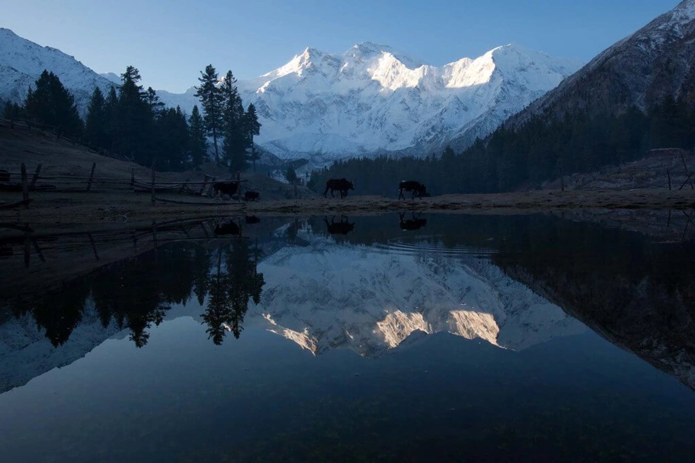 Prairie des fées, Pakistan