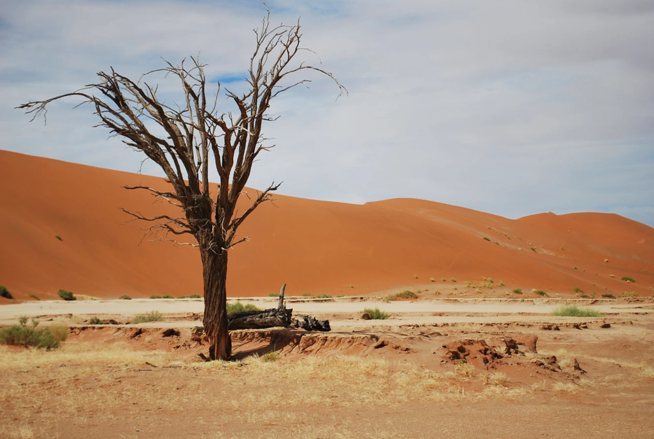 Hidden Vlei, Namibie