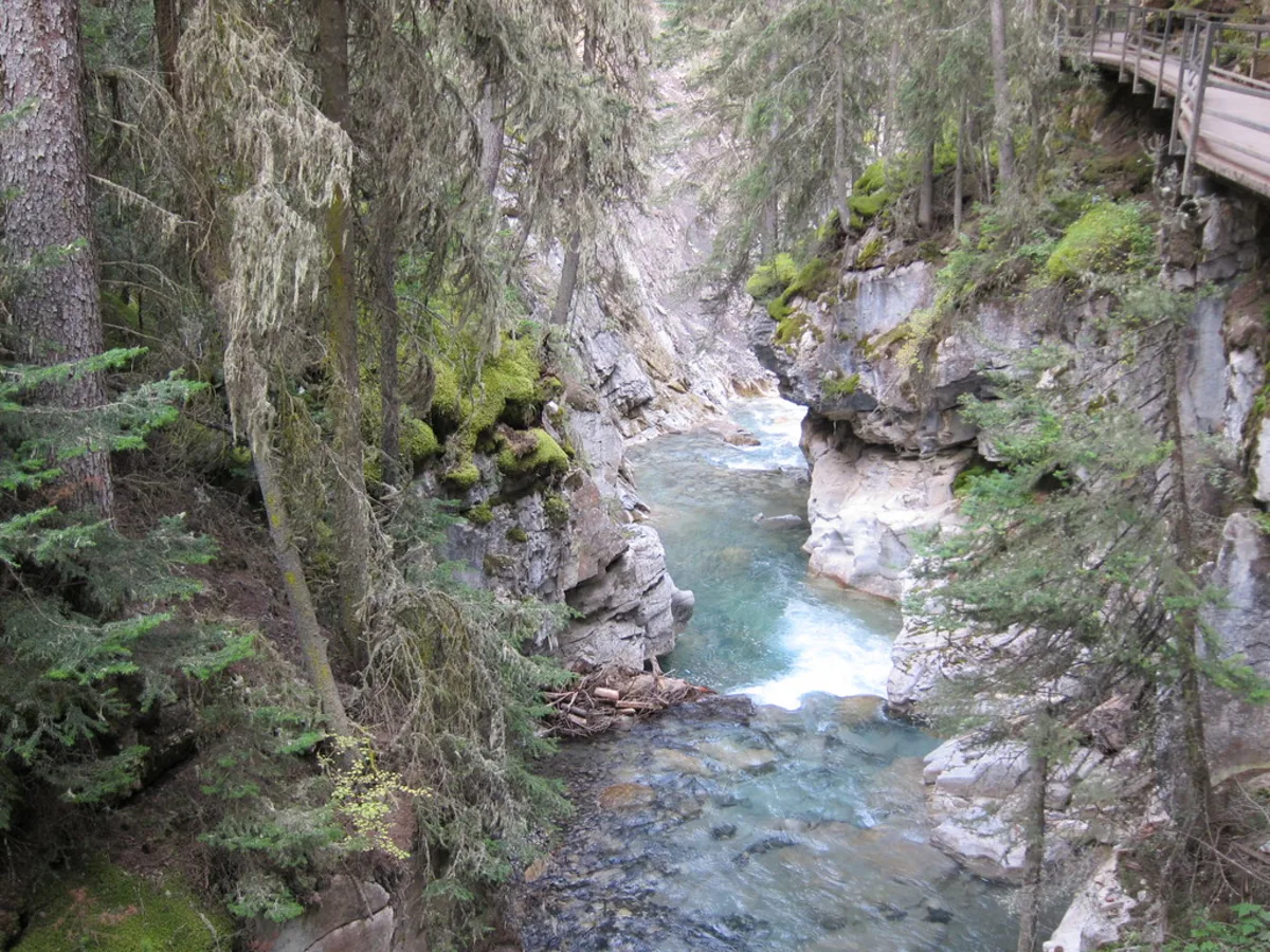 Canyon Johnston, Canada